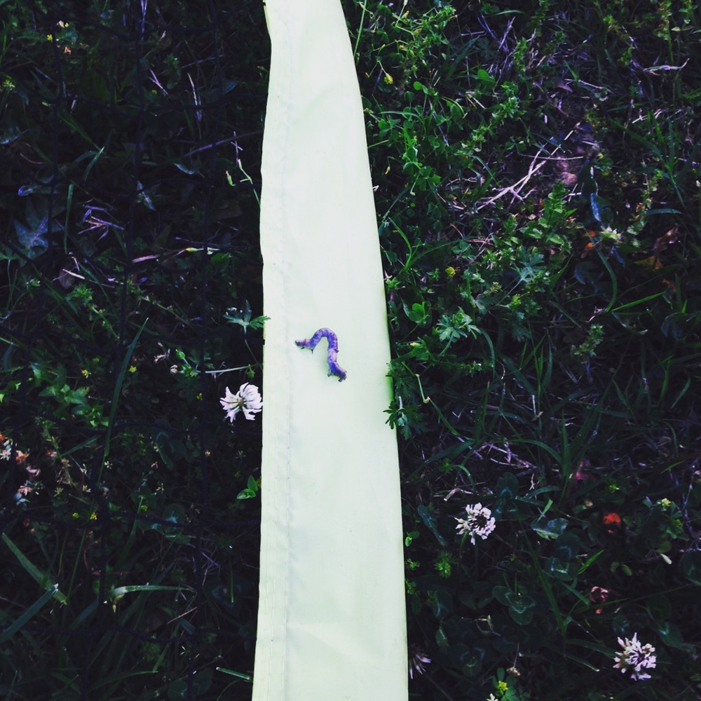 Meet your Posher, Nikolai